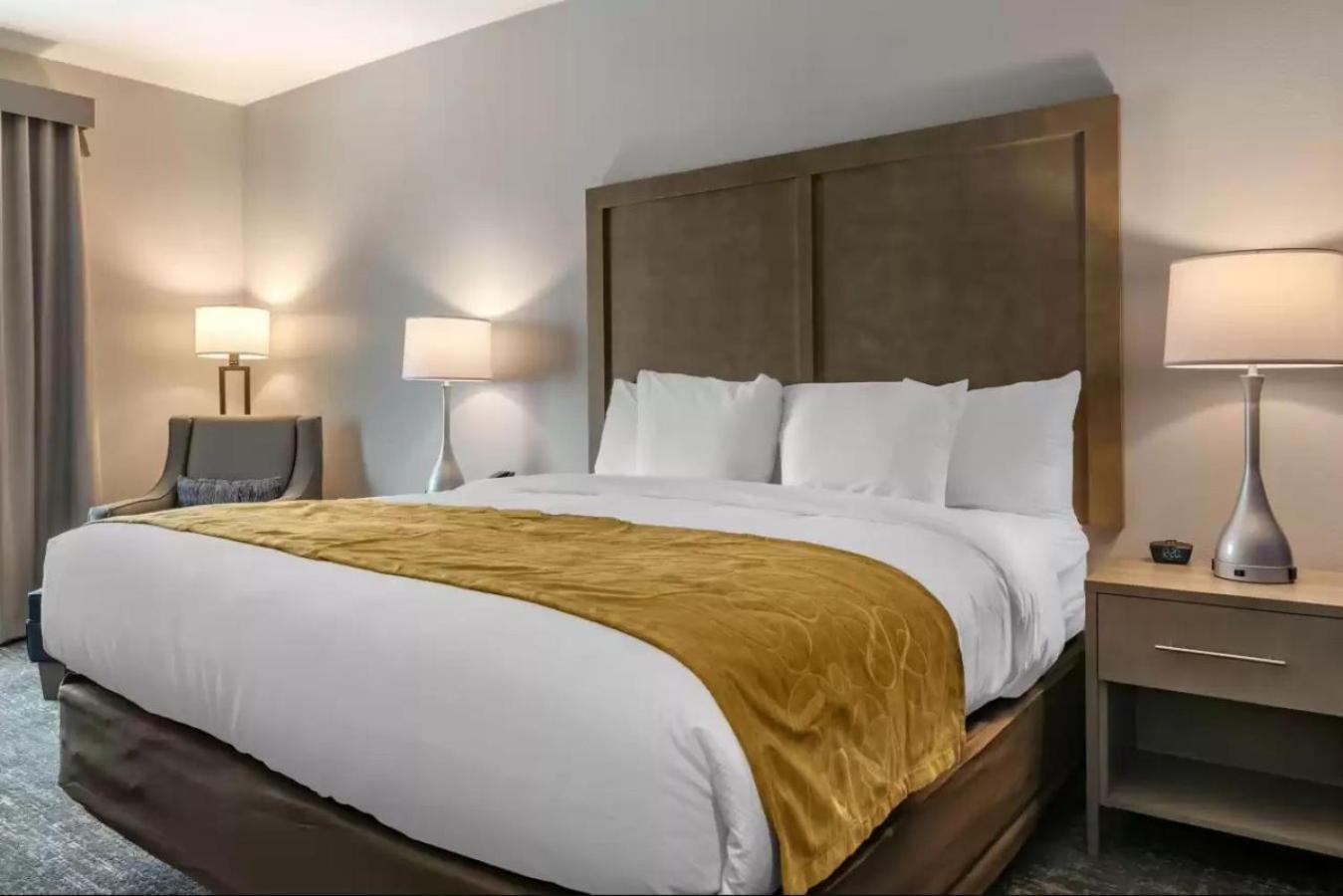 Comfort Inn & Suites Jacksonville - Orange Park Near Naval Air Station Bagian luar foto